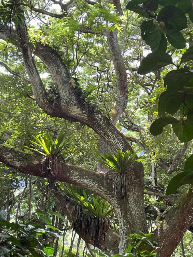 Ka Hale Kealoha Lägenhet Kaunakakai Exteriör bild