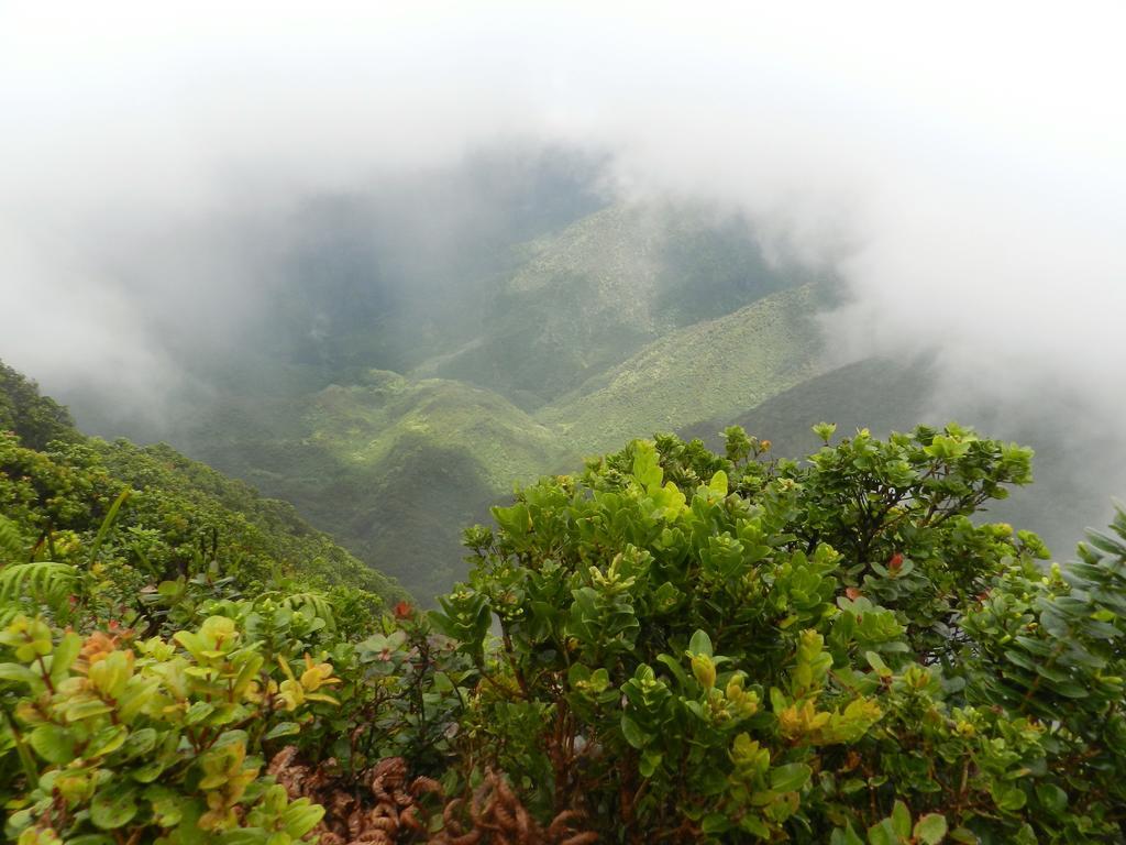 Ka Hale Kealoha Lägenhet Kaunakakai Exteriör bild